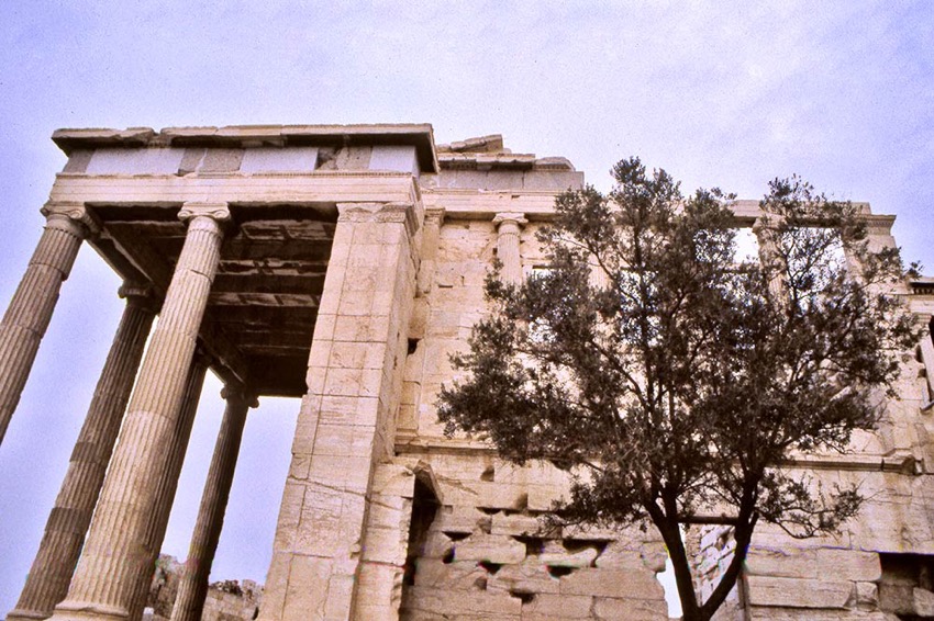 acropolis.jpg