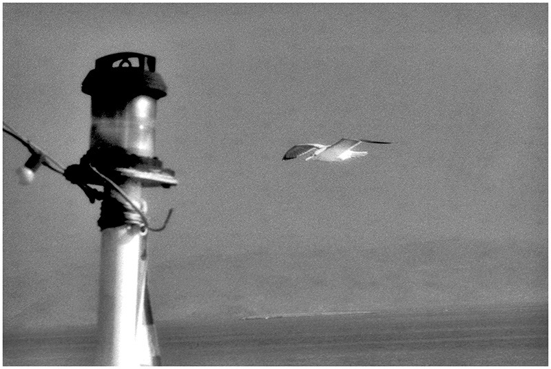 flying_Cyclades-lsakellariou.jpg