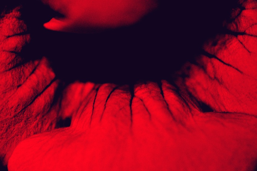 red.jpg