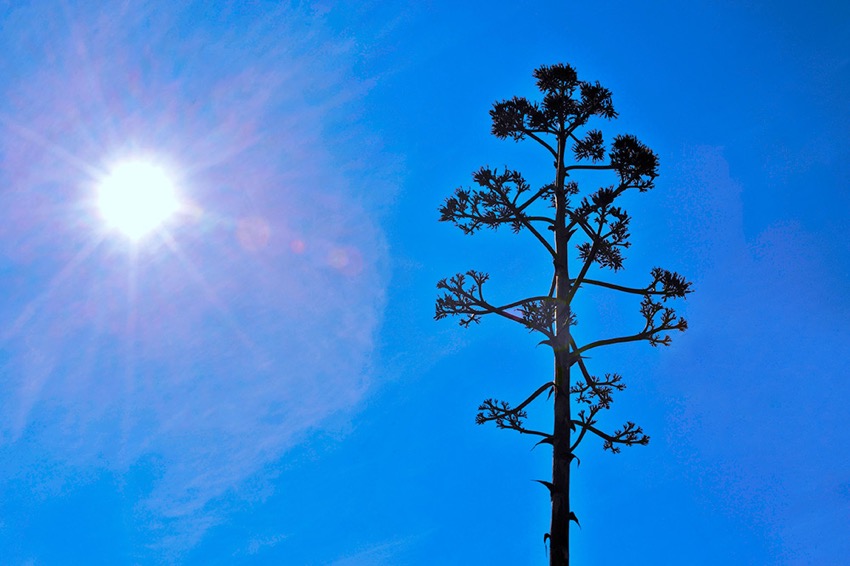 sunny-day.jpg