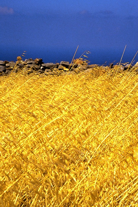 summer-in-Creta.jpg