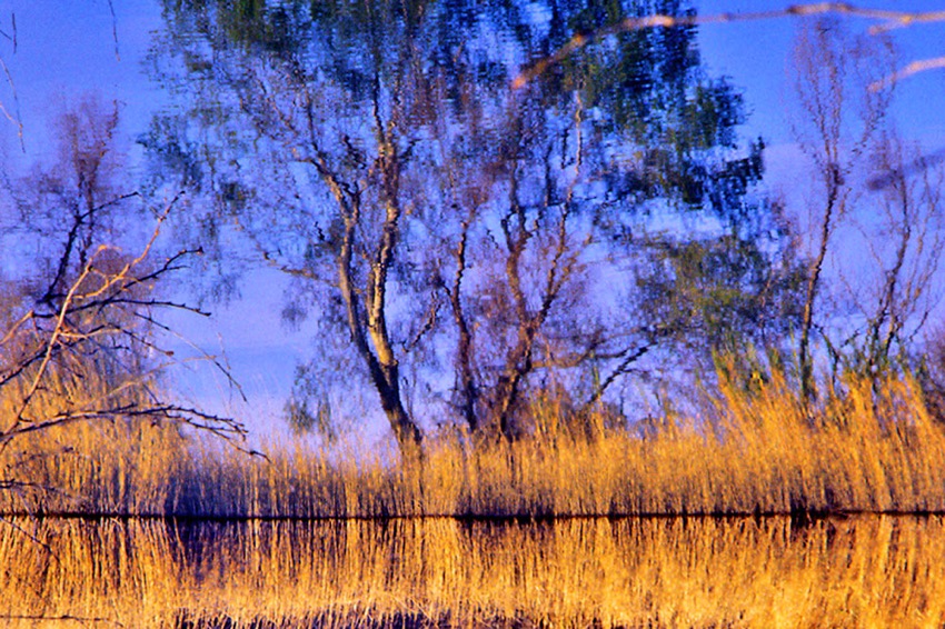 40_reflections-LS.jpg