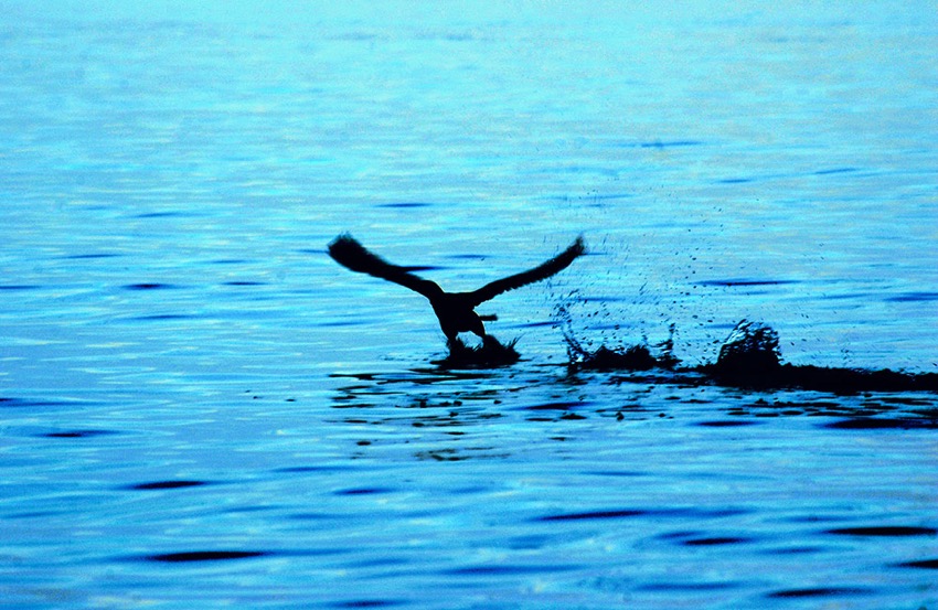 22c-reflections-web.jpg